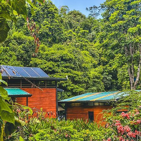カウイータ Selva Madre Eco-Sanctuaryアパートホテル エクステリア 写真