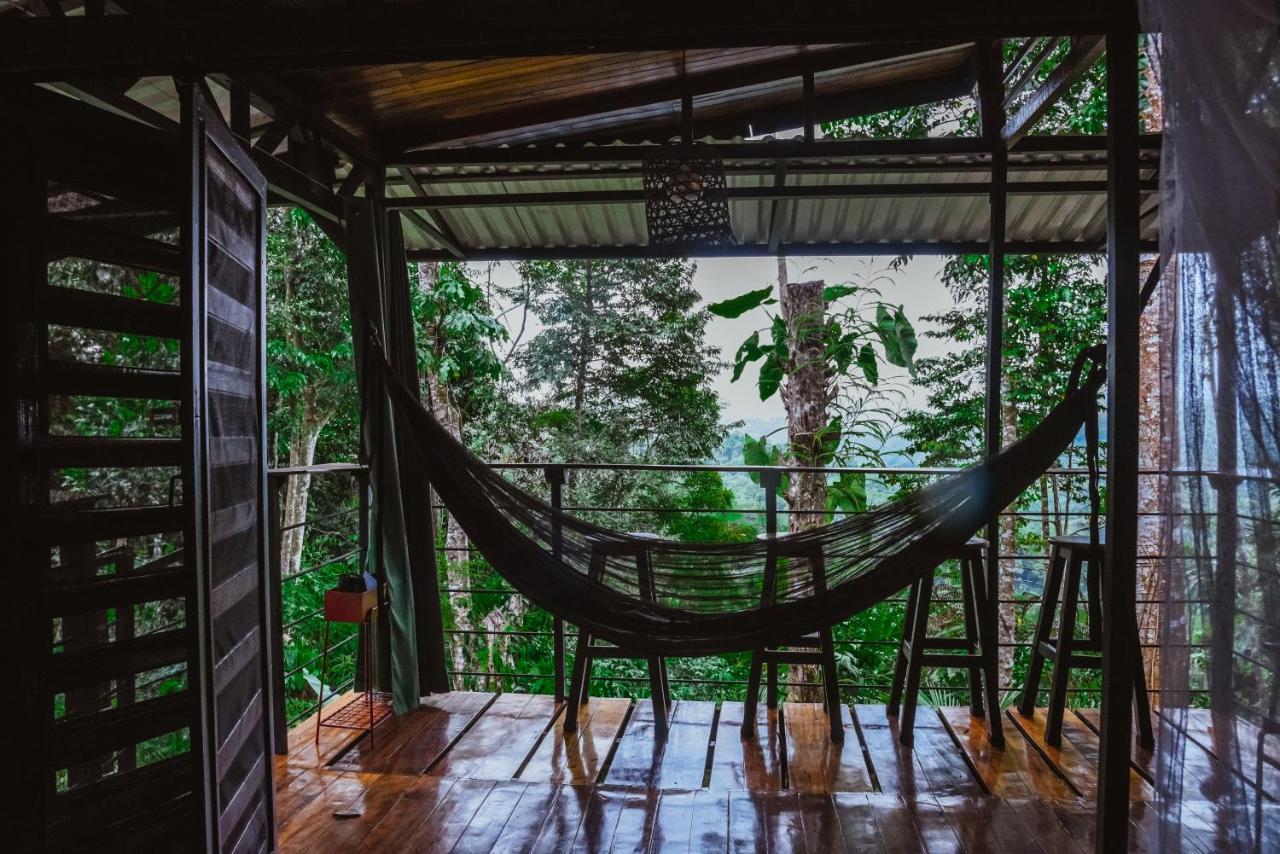 カウイータ Selva Madre Eco-Sanctuaryアパートホテル エクステリア 写真