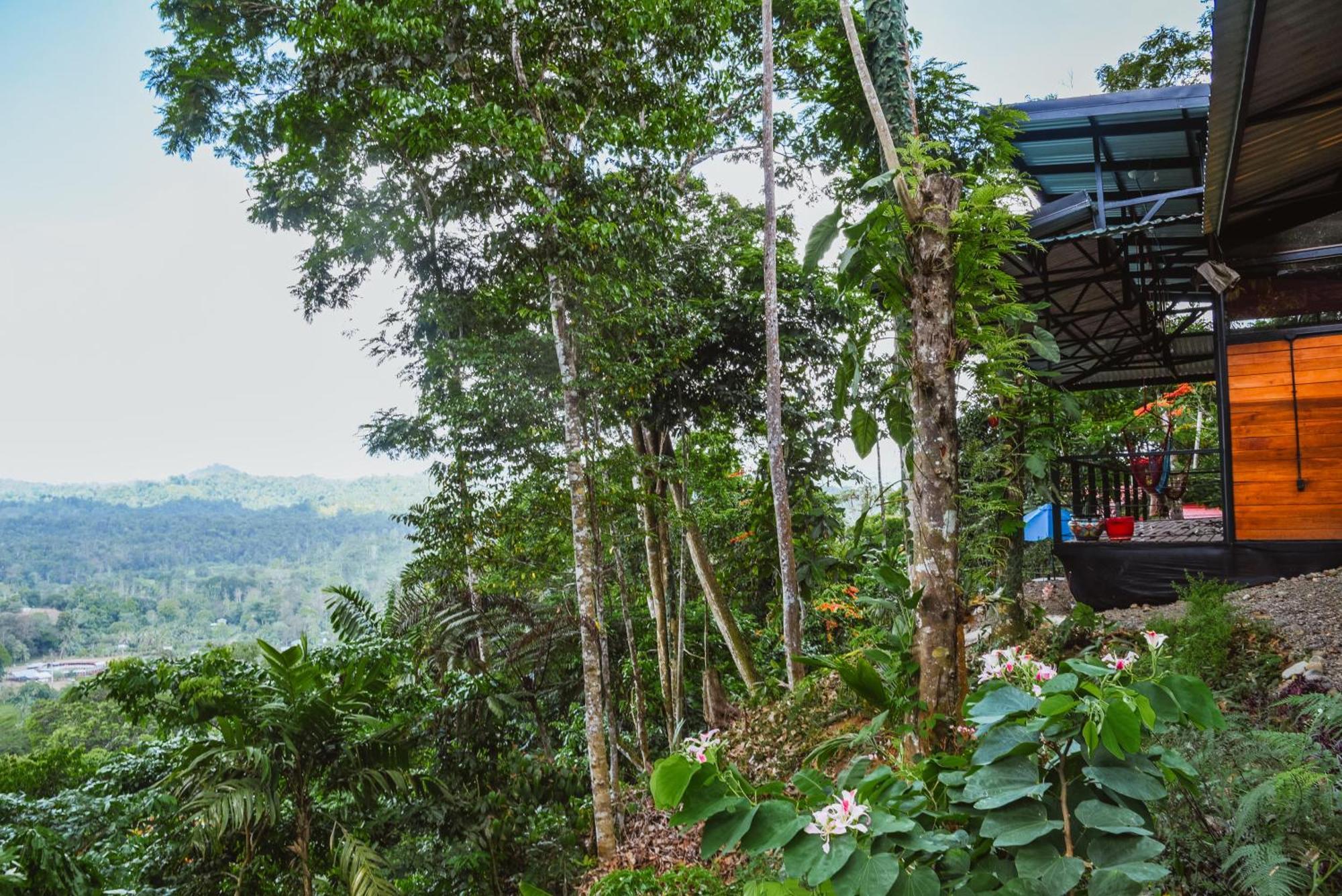 カウイータ Selva Madre Eco-Sanctuaryアパートホテル エクステリア 写真