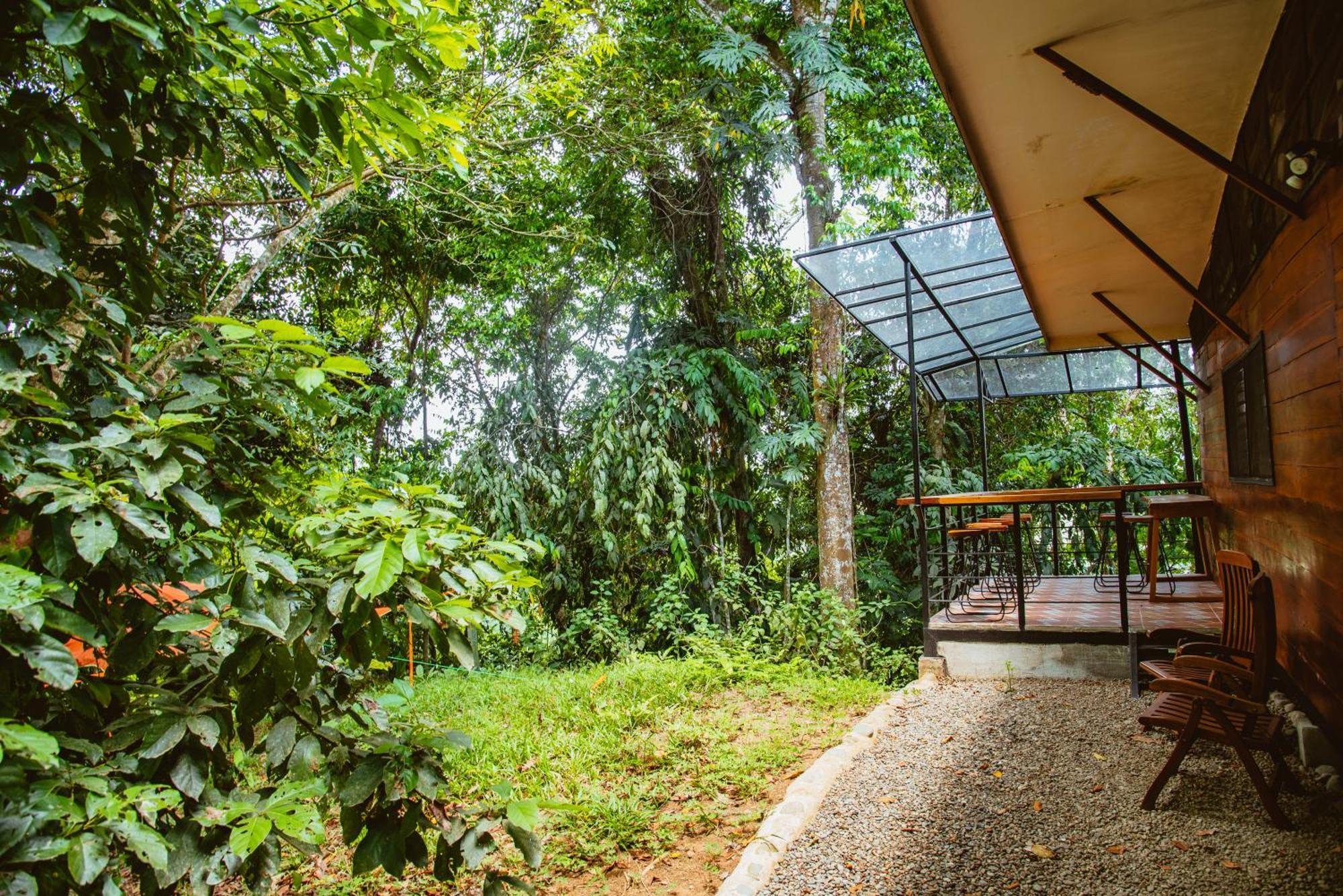 カウイータ Selva Madre Eco-Sanctuaryアパートホテル エクステリア 写真