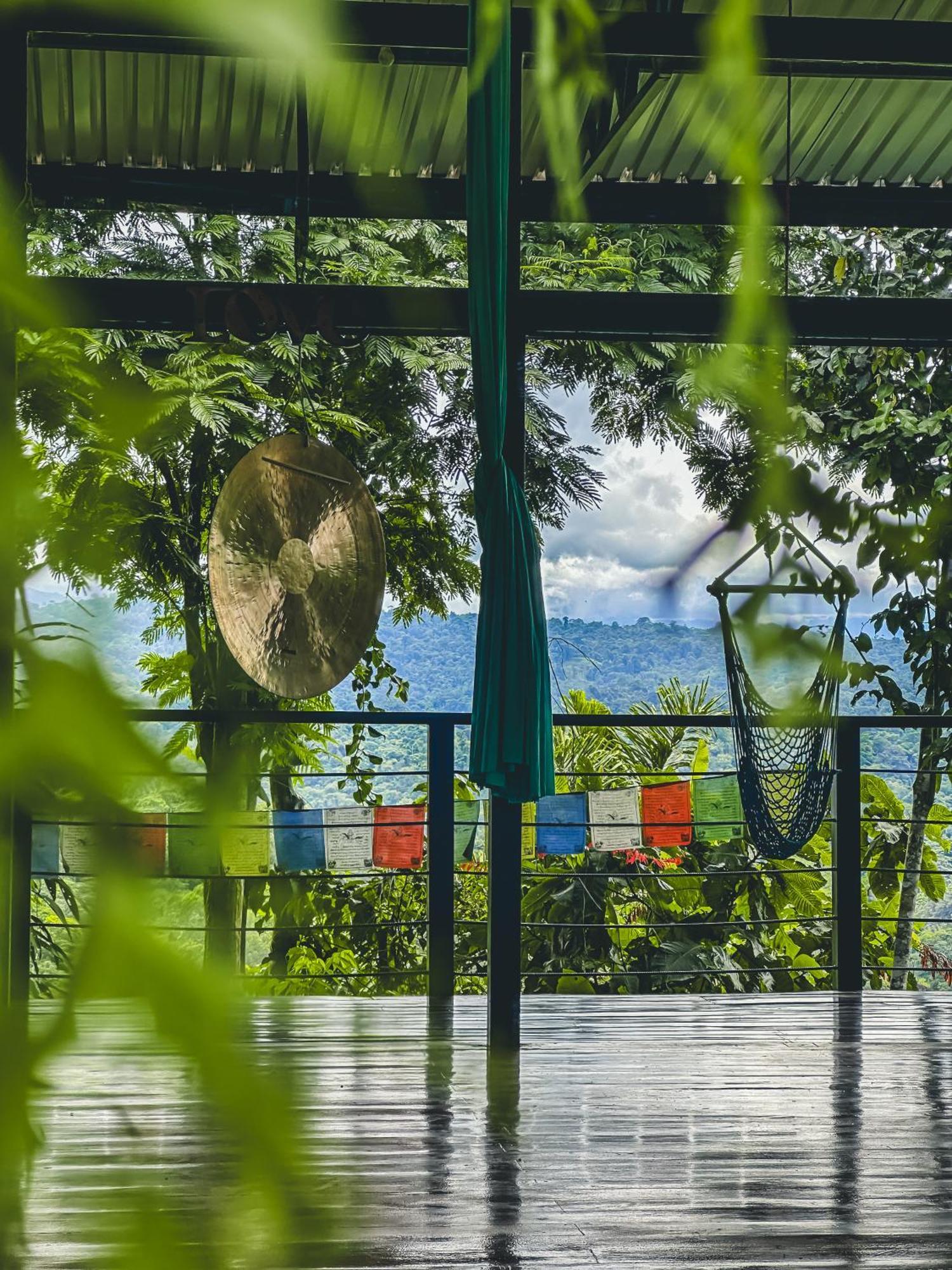 カウイータ Selva Madre Eco-Sanctuaryアパートホテル エクステリア 写真