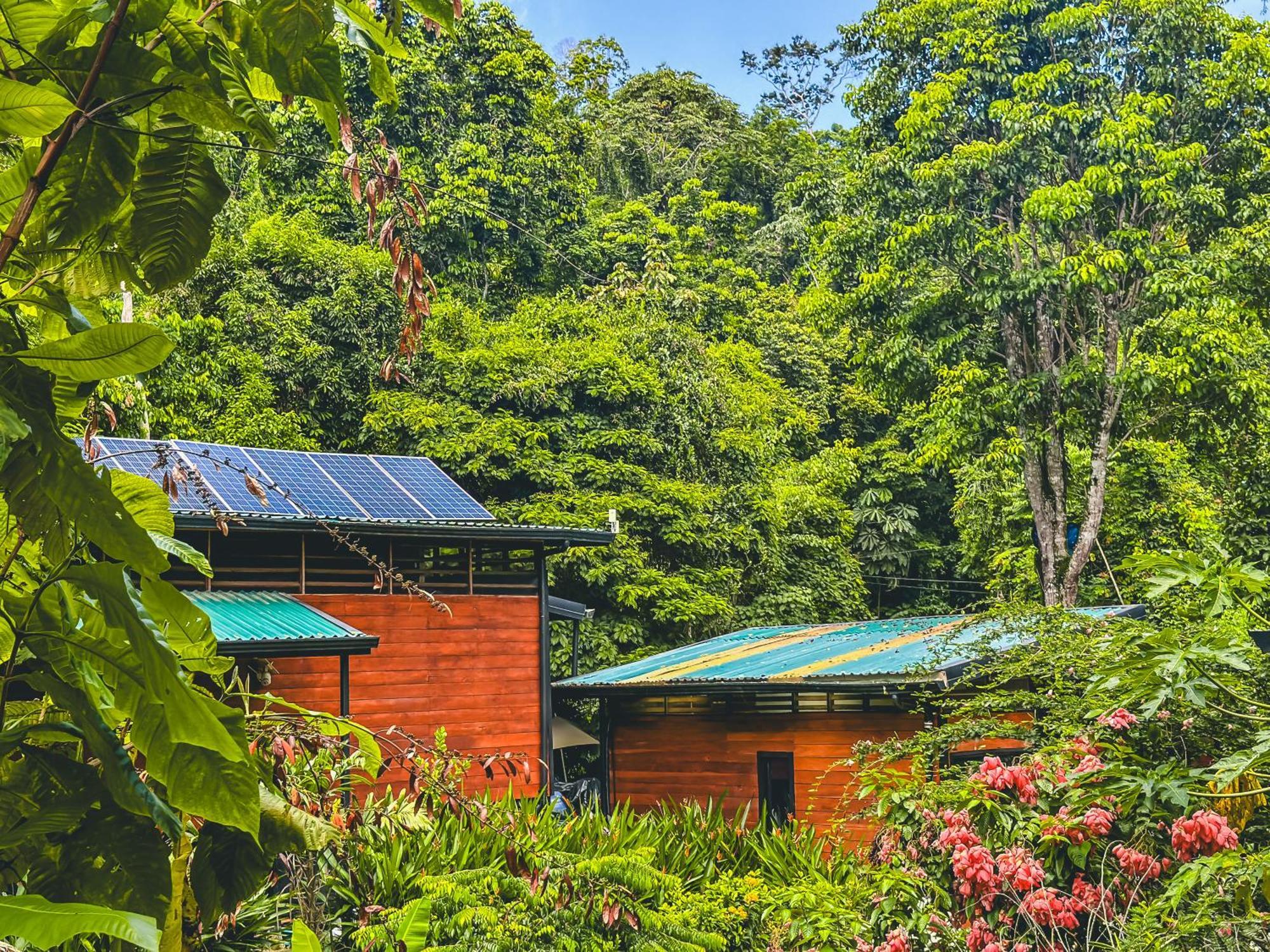 カウイータ Selva Madre Eco-Sanctuaryアパートホテル エクステリア 写真