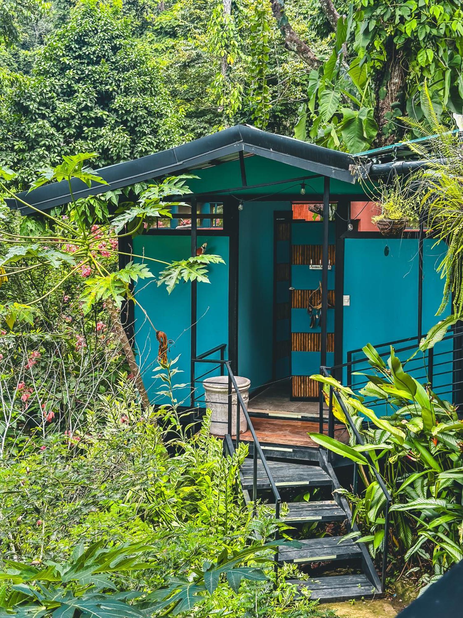 カウイータ Selva Madre Eco-Sanctuaryアパートホテル エクステリア 写真