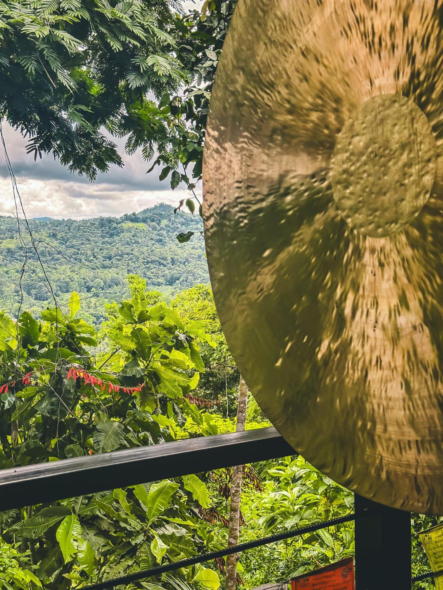 カウイータ Selva Madre Eco-Sanctuaryアパートホテル エクステリア 写真