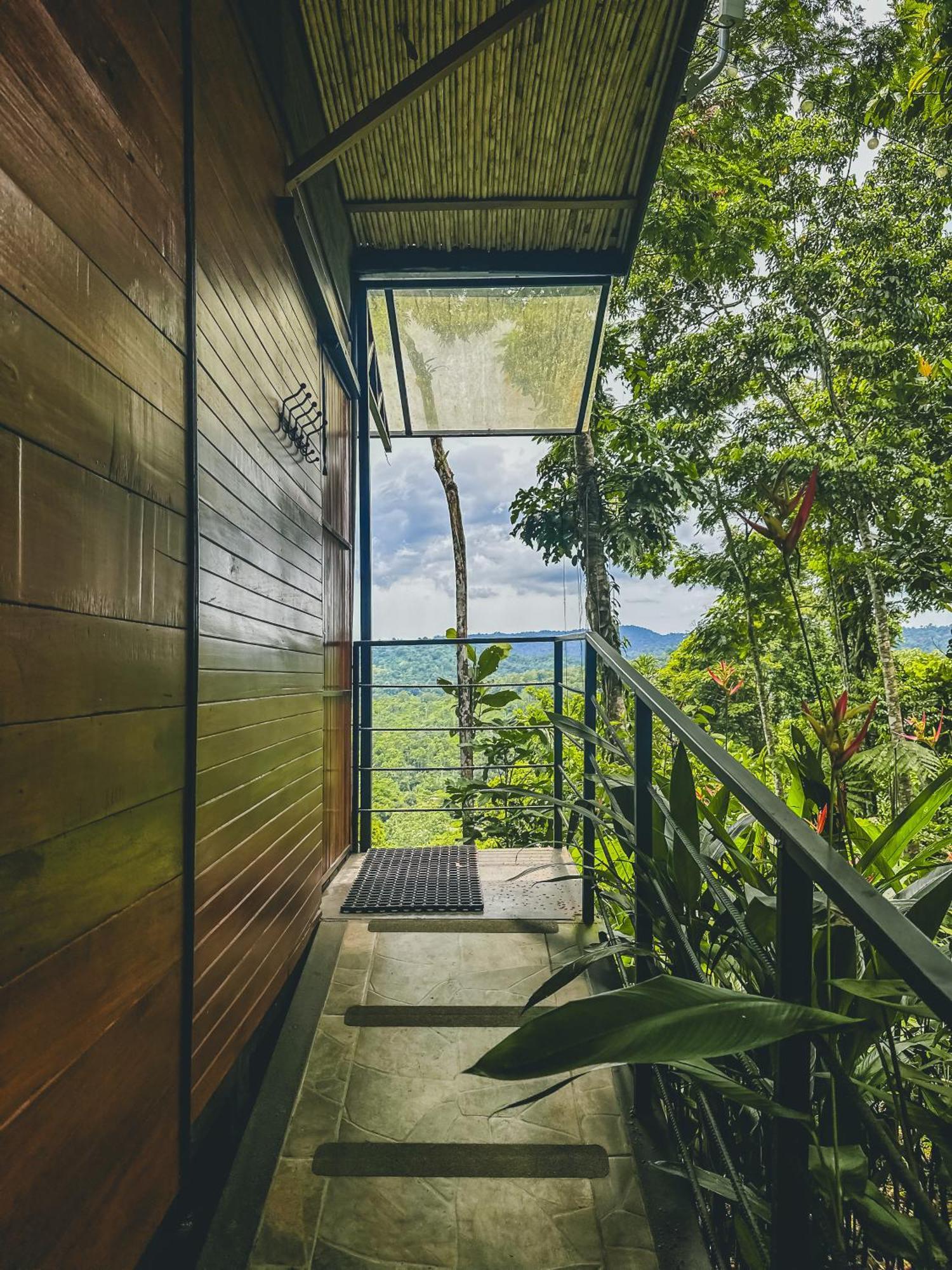 カウイータ Selva Madre Eco-Sanctuaryアパートホテル エクステリア 写真