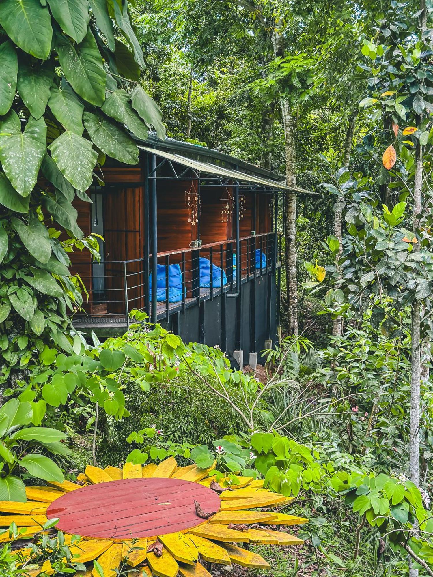カウイータ Selva Madre Eco-Sanctuaryアパートホテル エクステリア 写真