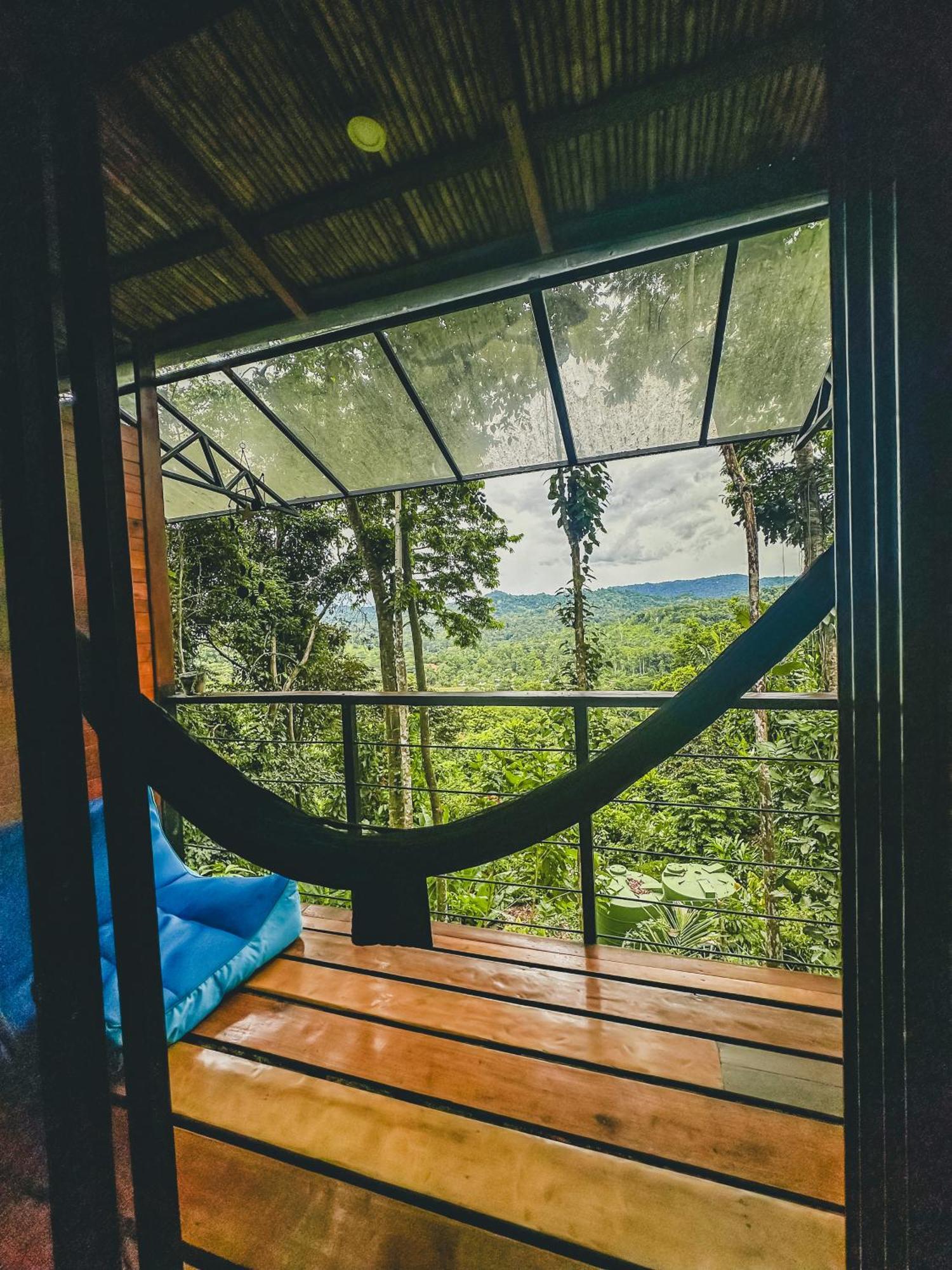 カウイータ Selva Madre Eco-Sanctuaryアパートホテル エクステリア 写真